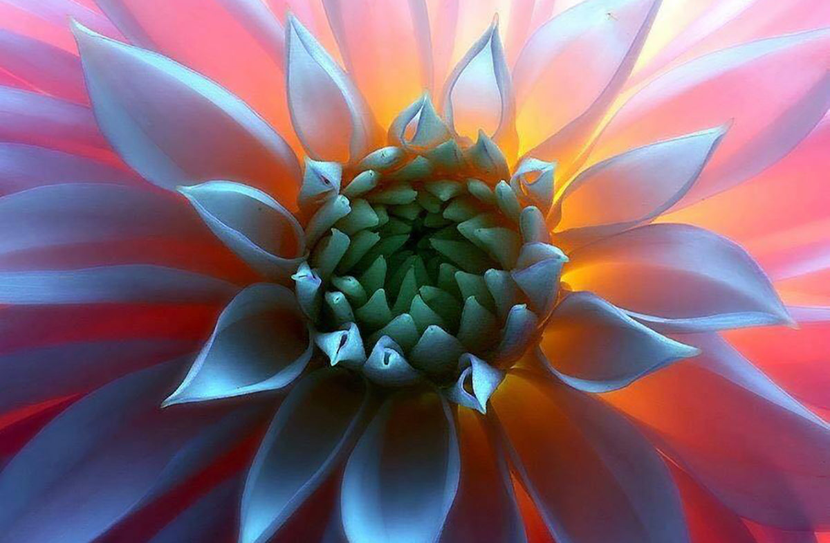 Self Care - I'll Check My Schedule!