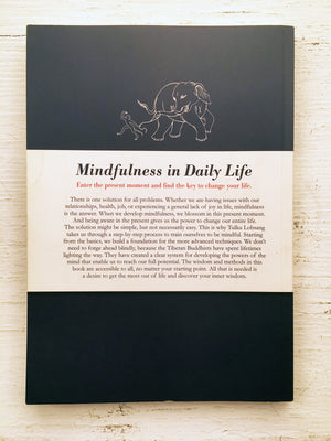 Mindfulness in Daily Life (Book)