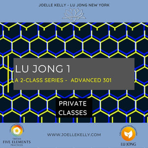 ONLINE: Lu Jong Class Series - Advanced 301